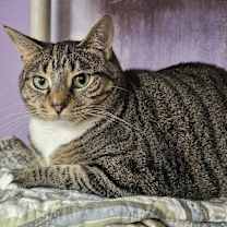 Thumbnail photo of Squeaky #2