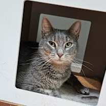Thumbnail photo of Jane Grey #1