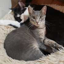 Thumbnail photo of Jane Grey #2