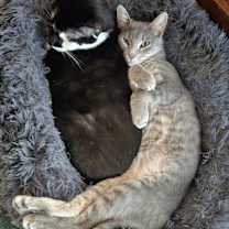 Thumbnail photo of Jane Grey #3