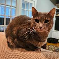 Thumbnail photo of Jane Grey #4