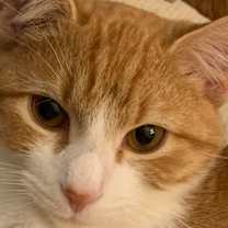 Thumbnail photo of Lillian #1