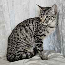 Thumbnail photo of Kristoff #2