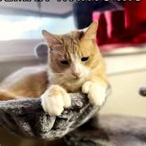 Thumbnail photo of Iceman (SPECIAL NEEDS) #4