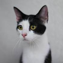 Thumbnail photo of Lenny K #2