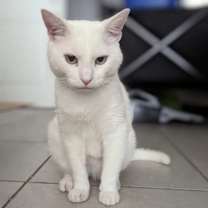 Thumbnail photo of Casper #2