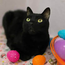 Thumbnail photo of Mack #3