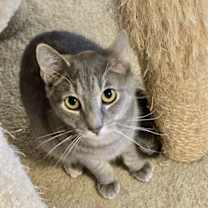 Thumbnail photo of Hogan #1