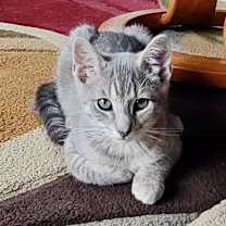 Thumbnail photo of Tee #2