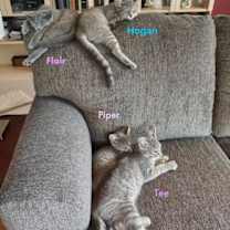 Thumbnail photo of Tee #3