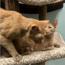 Thumbnail photo of Demetrius #2