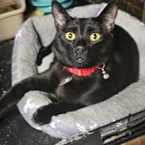 Thumbnail photo of Logan #1