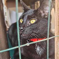 Thumbnail photo of Logan #2