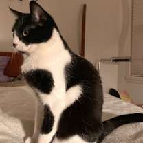 Thumbnail photo of Shell #4