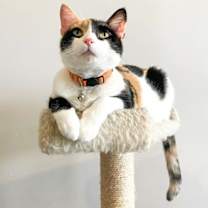 Thumbnail photo of Audra #3