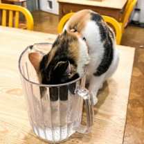 Thumbnail photo of Audra #4