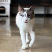 Thumbnail photo of Stewart #1