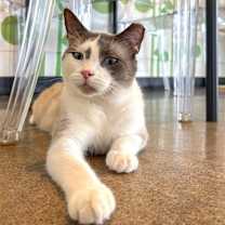 Thumbnail photo of Stewart #2