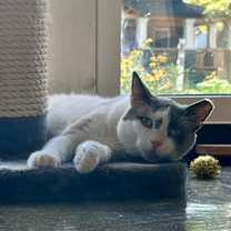 Thumbnail photo of Stewart #3