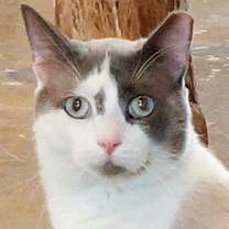 Thumbnail photo of Stewart #4