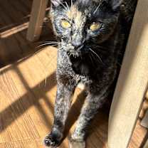 Thumbnail photo of Caroline #1