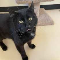 Thumbnail photo of Theo #3