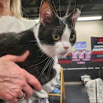 Thumbnail photo of Fiona #1