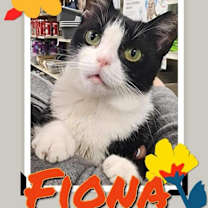 Thumbnail photo of Fiona #4