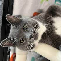 Thumbnail photo of Lainey #2