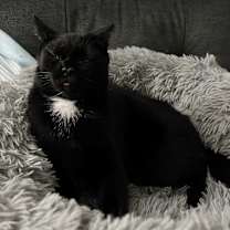 Thumbnail photo of Ava #1