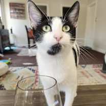 Thumbnail photo of Karma #2