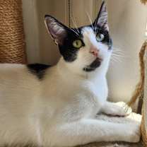 Thumbnail photo of Karma #3