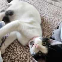 Thumbnail photo of Karma #4