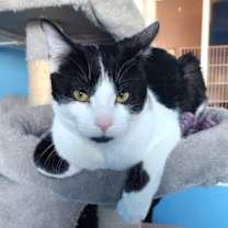 Thumbnail photo of Tito #1