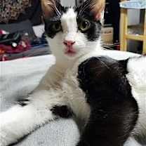 Thumbnail photo of Princess #1