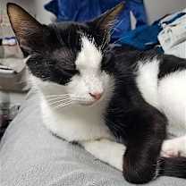 Thumbnail photo of Princess #2