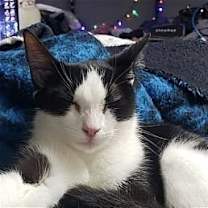 Thumbnail photo of Princess #4