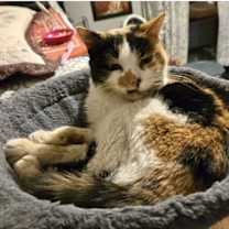 Thumbnail photo of Julia #1
