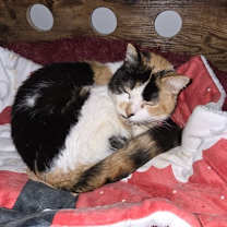 Thumbnail photo of Julia #2