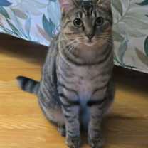 Thumbnail photo of Vera #1