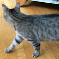 Thumbnail photo of Vera #3