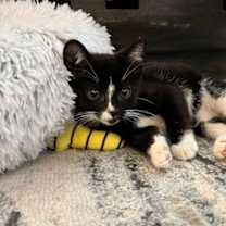 Thumbnail photo of Colin #2