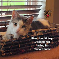 Thumbnail photo of Oliver #4