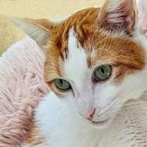Thumbnail photo of Buster #1