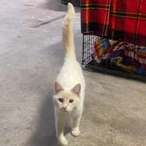 Thumbnail photo of Sugar #3