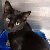 Thumbnail photo of Lisa #3