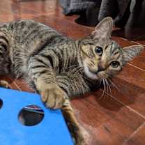 Thumbnail photo of Richie 1682 #1