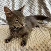 Thumbnail photo of Ella #1
