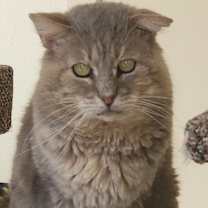 Thumbnail photo of Zeke #2