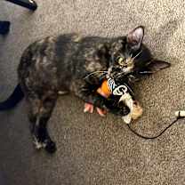 Thumbnail photo of Caroline #4